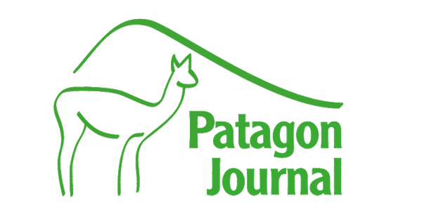 Patagon Store logo
