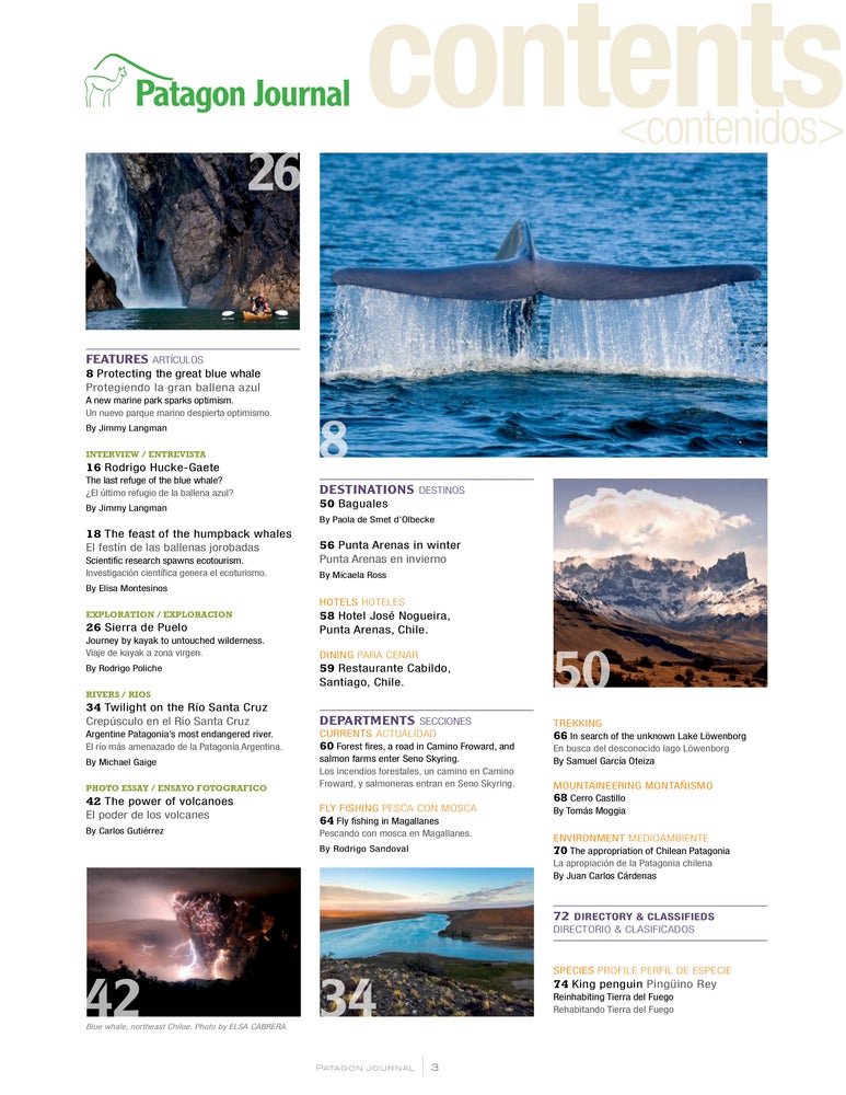 Patagon Journal #8