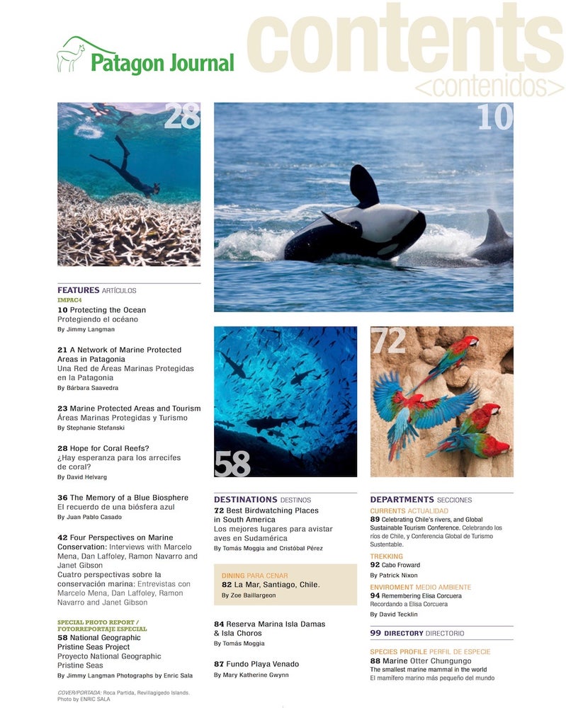Patagón Journal #15