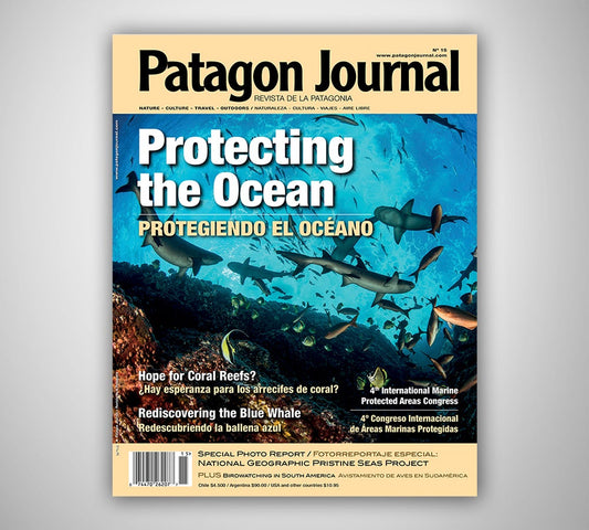 Patagón Journal #15