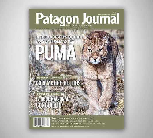 Patagón Journal #17