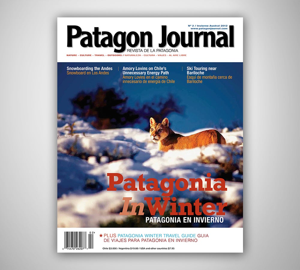 Patagón Journal #2
