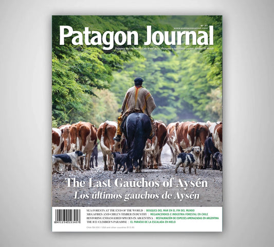 Patagon Journal #27