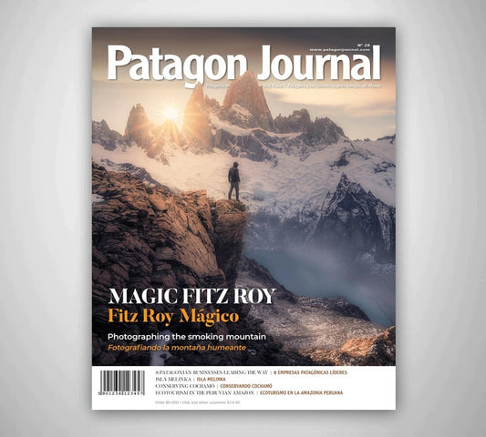 Patagon Journal #28