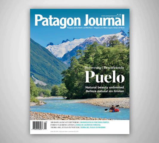 Patagon Journal #29