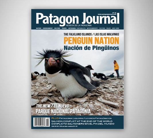 Patagon Journal #20
