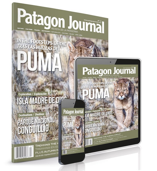 Subscription to Patagon Journal