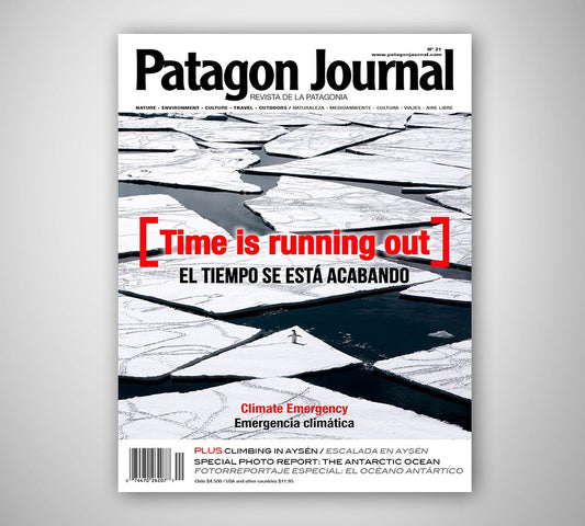 Patagon Journal #21