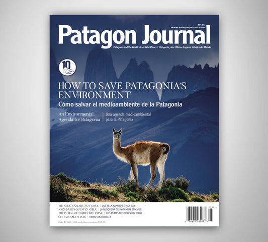 Patagon Journal #25