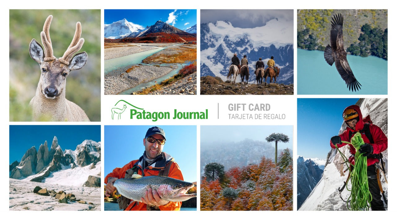 Patagon Journal Gift Card