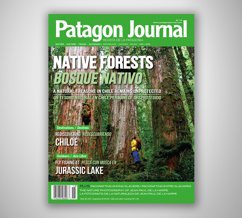 Patagon Journal #18