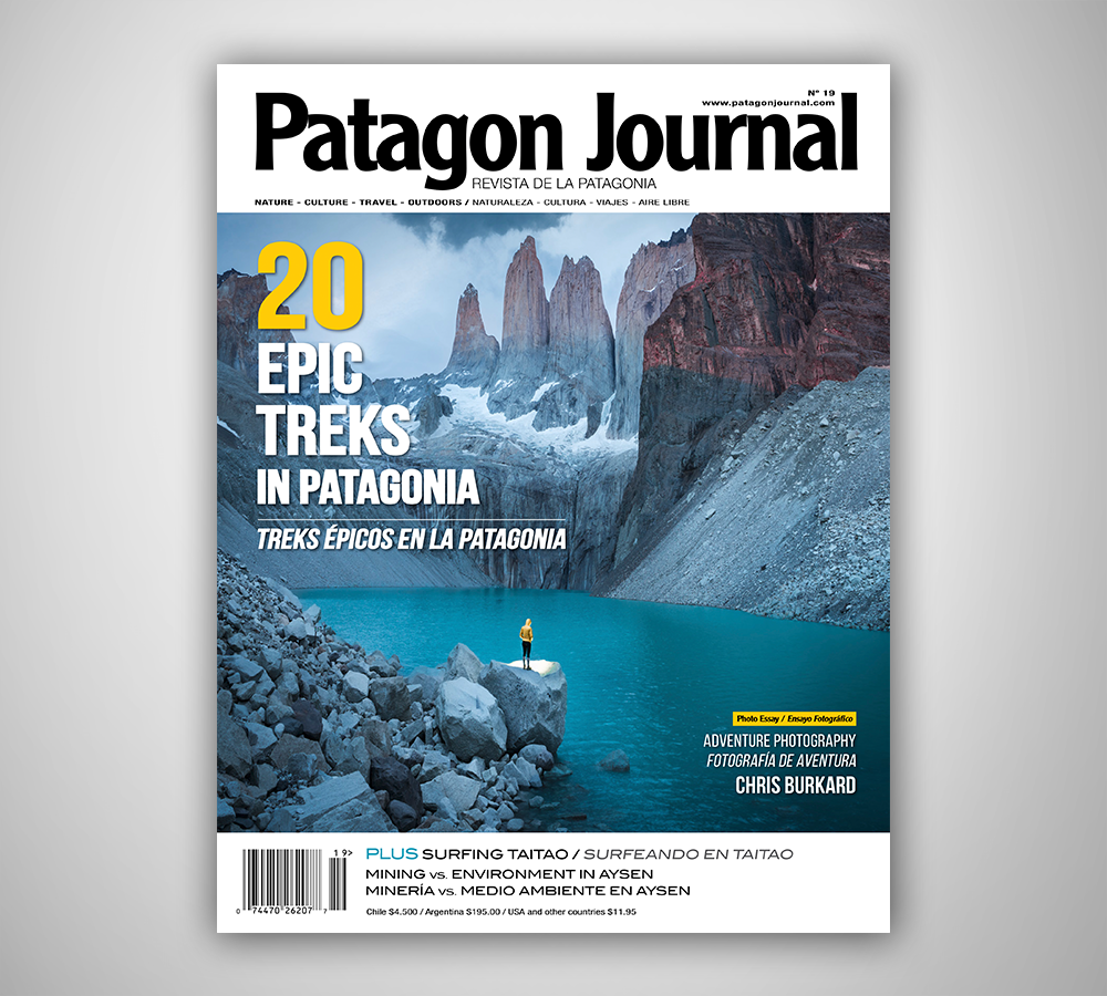 Patagon Journal #19