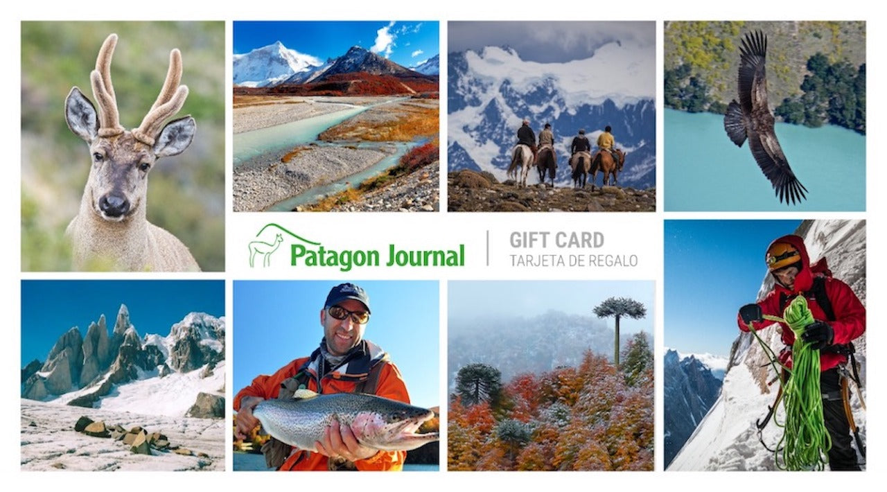 Patagon Store Gift Card