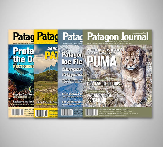 Suscripción a Patagon Journal