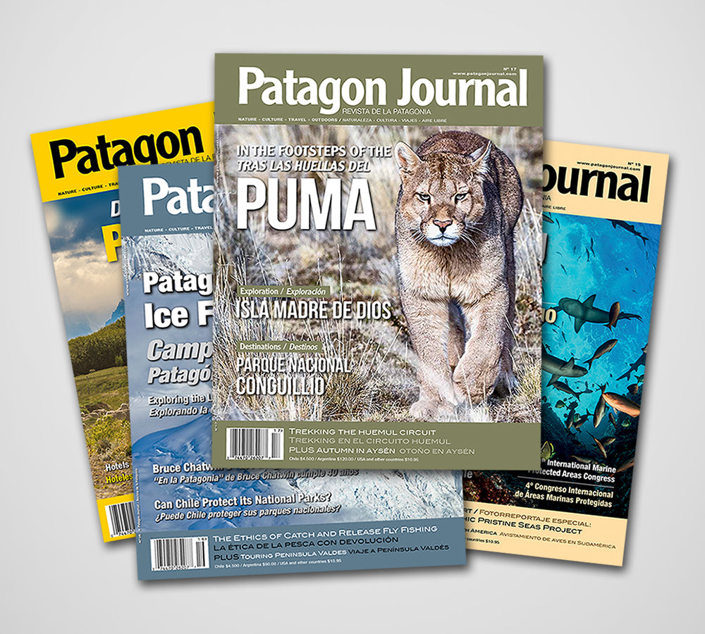 Patagon Journal Gift Subscription