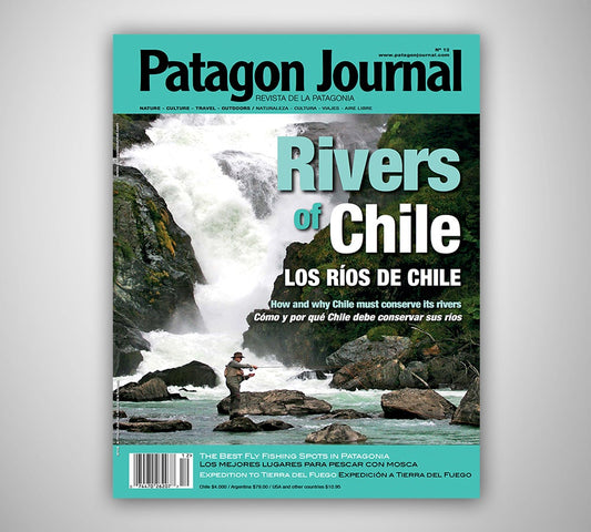 Patagon Journal #12