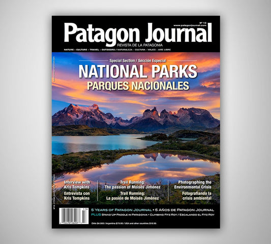 Patagon Journal #13