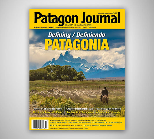 Patagon Journal #14