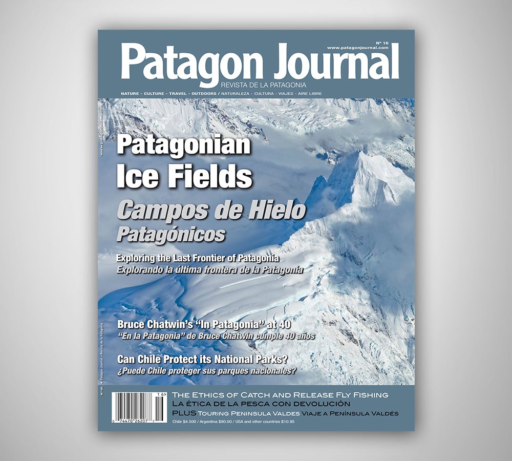 Patagon Journal #16