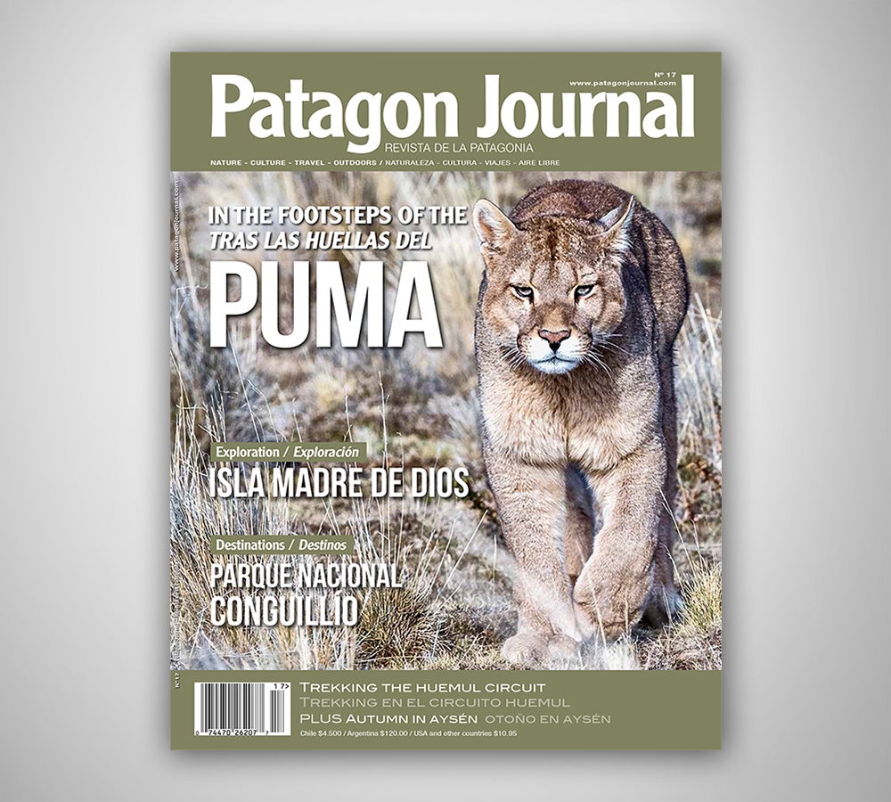 Patagon Journal #17