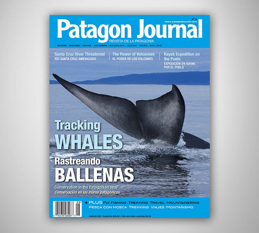 Patagon Journal #8